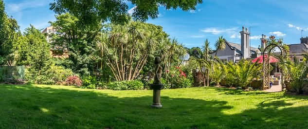 The garden at The Somerville