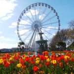 The Return of the Riviera big wheel