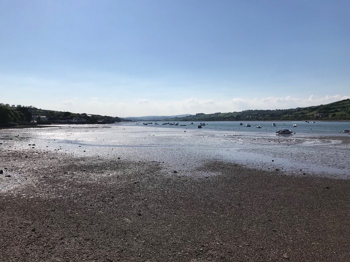 Enjoying the English Riviera