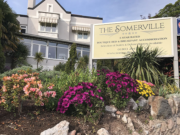 Somerville Torquay garden, summer 2020