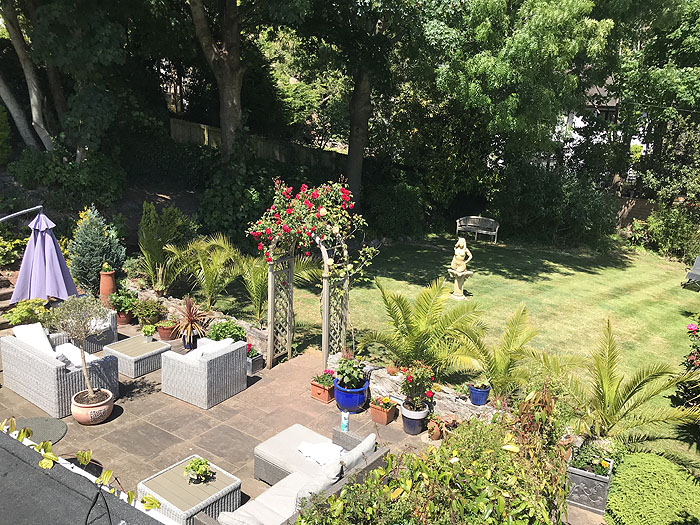 Somerville Torquay garden, summer 2020