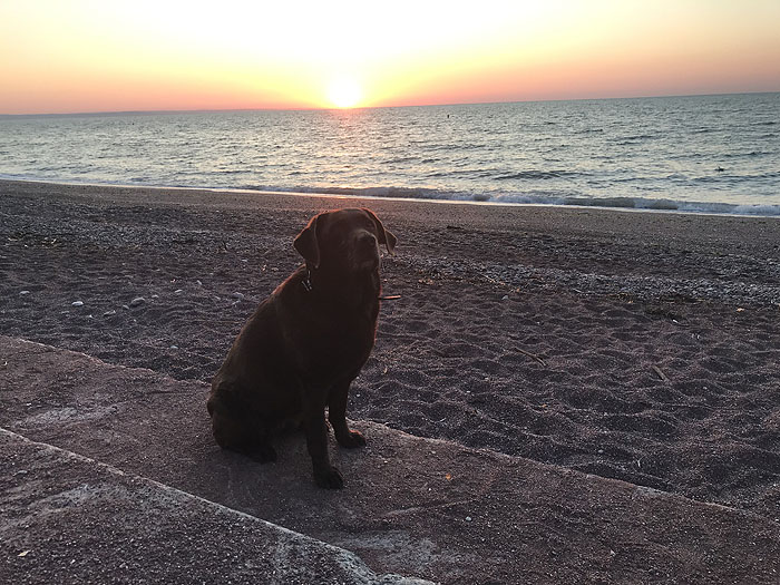A south Devon sunrise