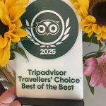 Somerville - an award winner